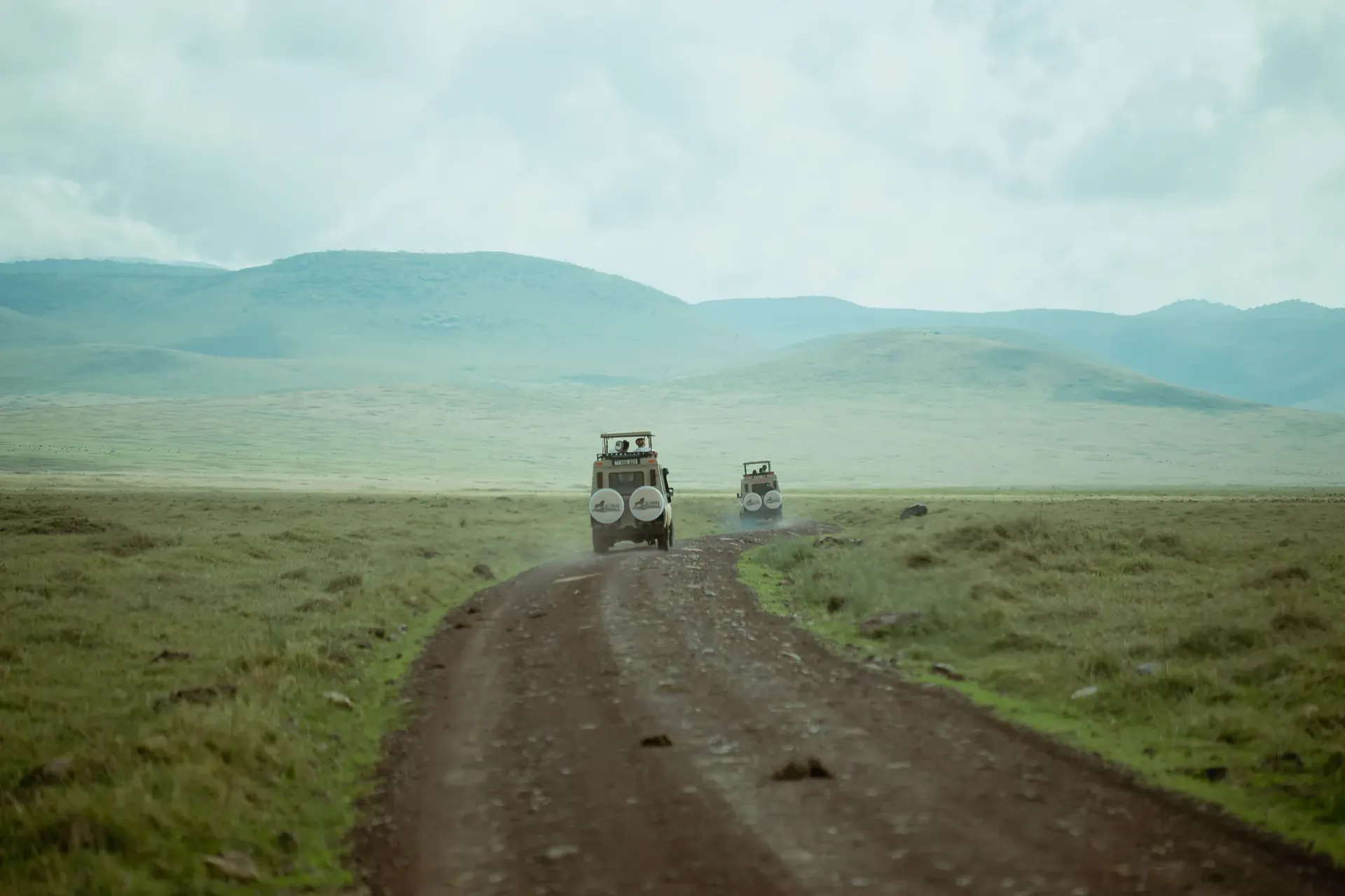Serengeti Morning Game Drive – Return to Karatu experience