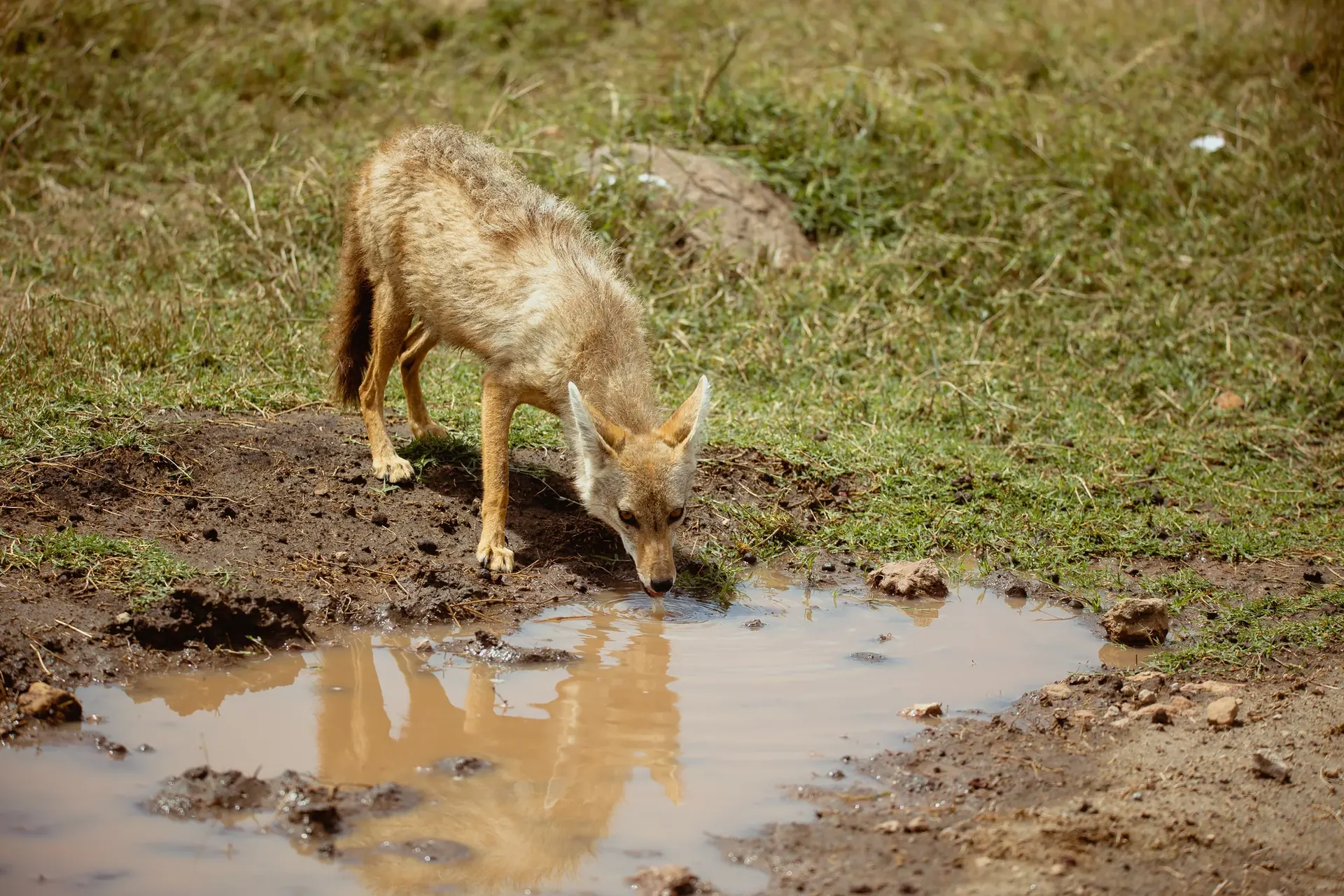 Karatu – Lake Manyara – Arusha (Drop-Off) scenery