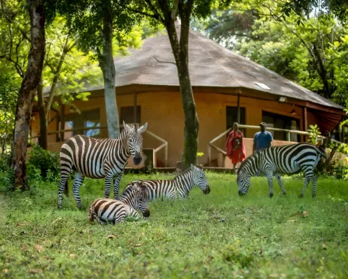 Masai Mara Sopa Lodge exterior