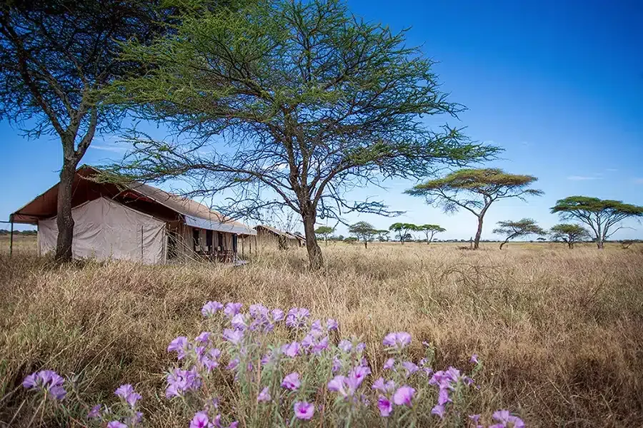 Mawe Tented Camp exterior in the Central Serengeti