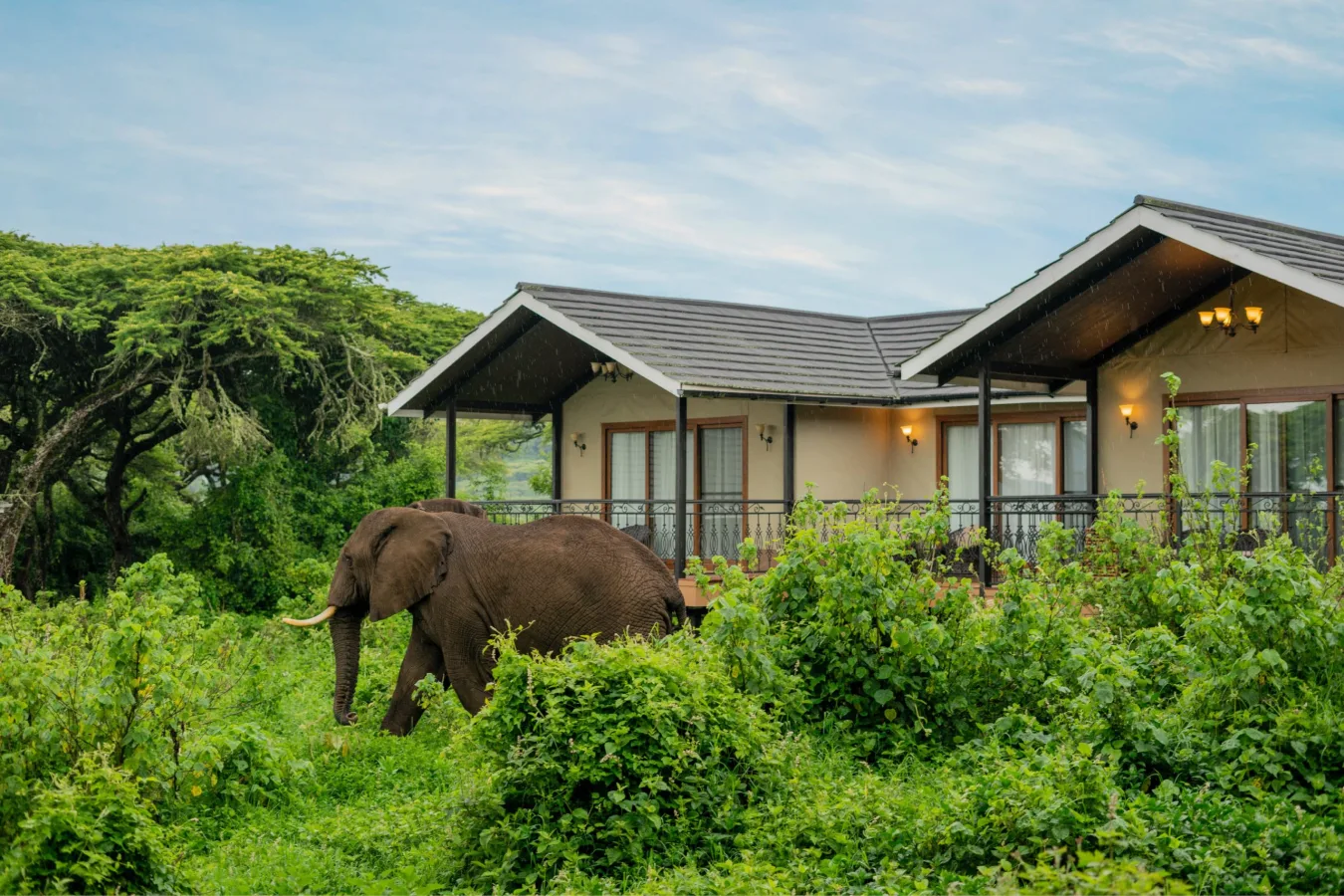 Exterior of Ngorongoro Lion's Paw Camp in Eastern rim, Ngorongoro Conservation Area