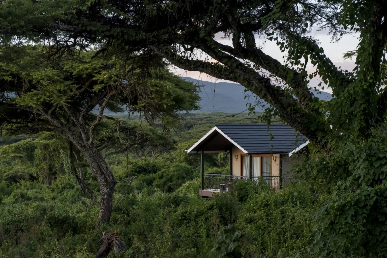 Exterior of Ngorongoro Lion's Paw Camp in Eastern rim, Ngorongoro Conservation Area