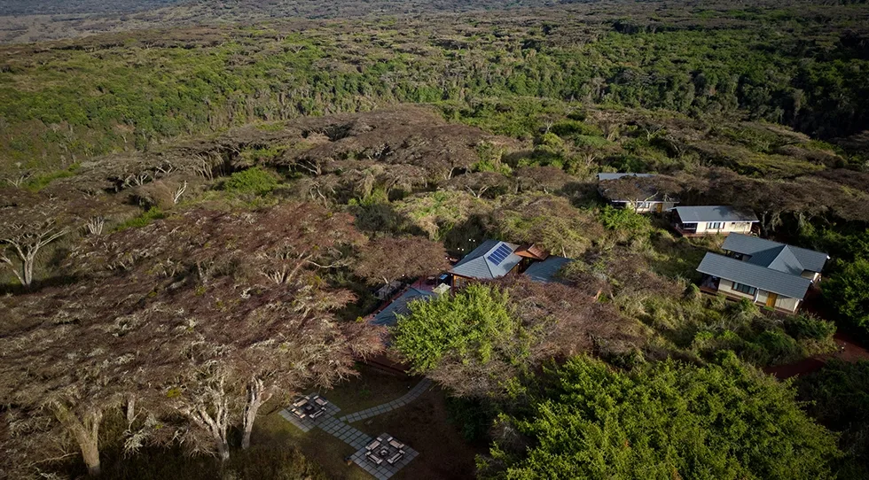 Exterior of Ngorongoro Lion's Paw Camp in Eastern rim, Ngorongoro Conservation Area