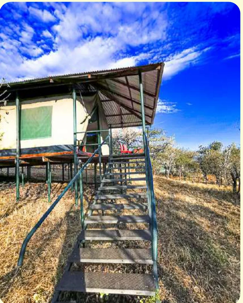 Ngorongoro Wild Camp tent exterior