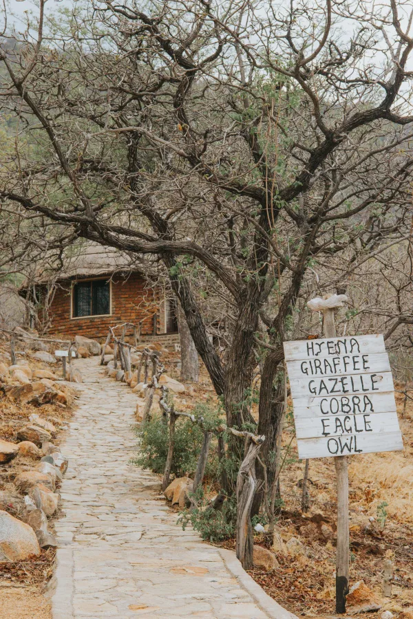 Exterior of Ruaha Hilltop Lodge in Ruaha National Park area