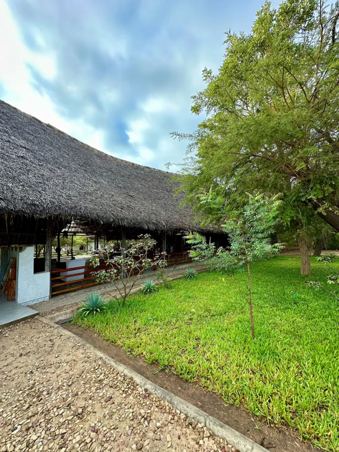 Exterior of Selous Safari Lodge in Nyerere National Park area