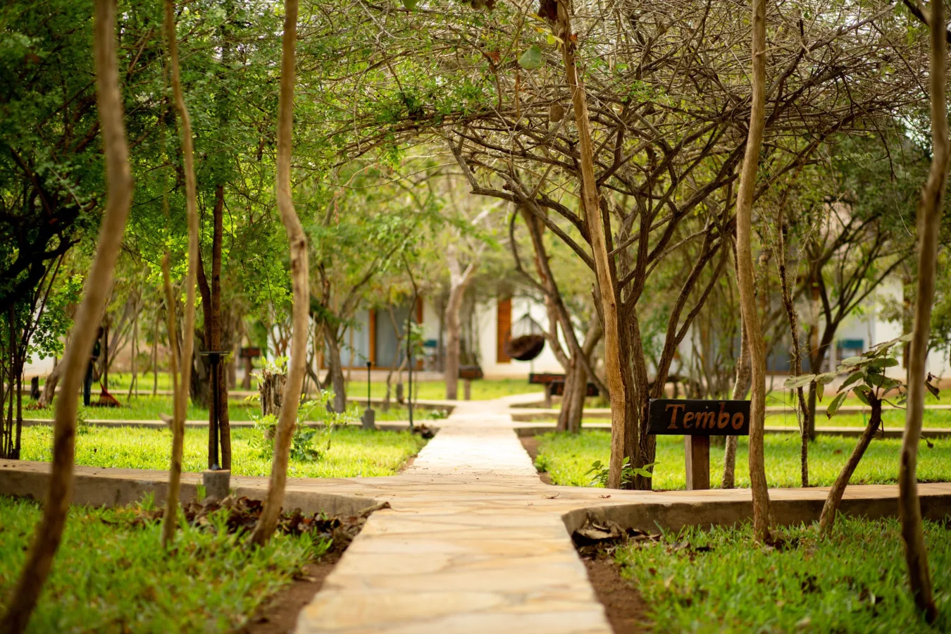 Exterior of Selous Safari Lodge in Nyerere National Park area