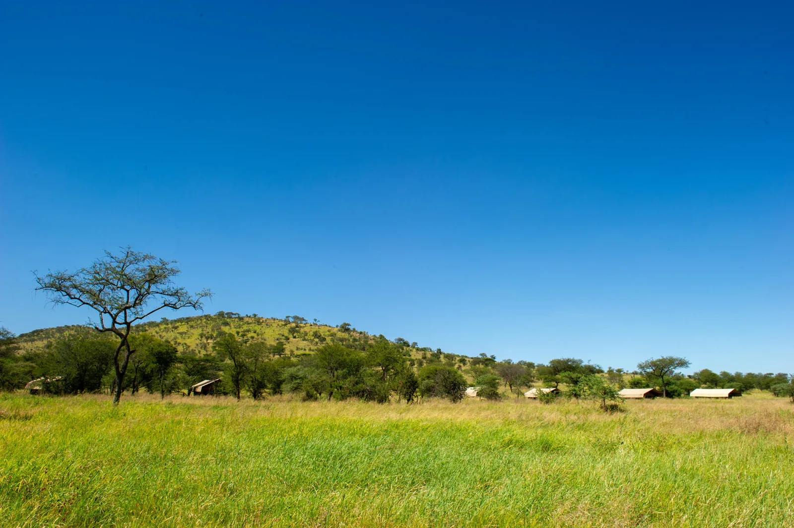 Serengeti Kati Kati Camp exterior