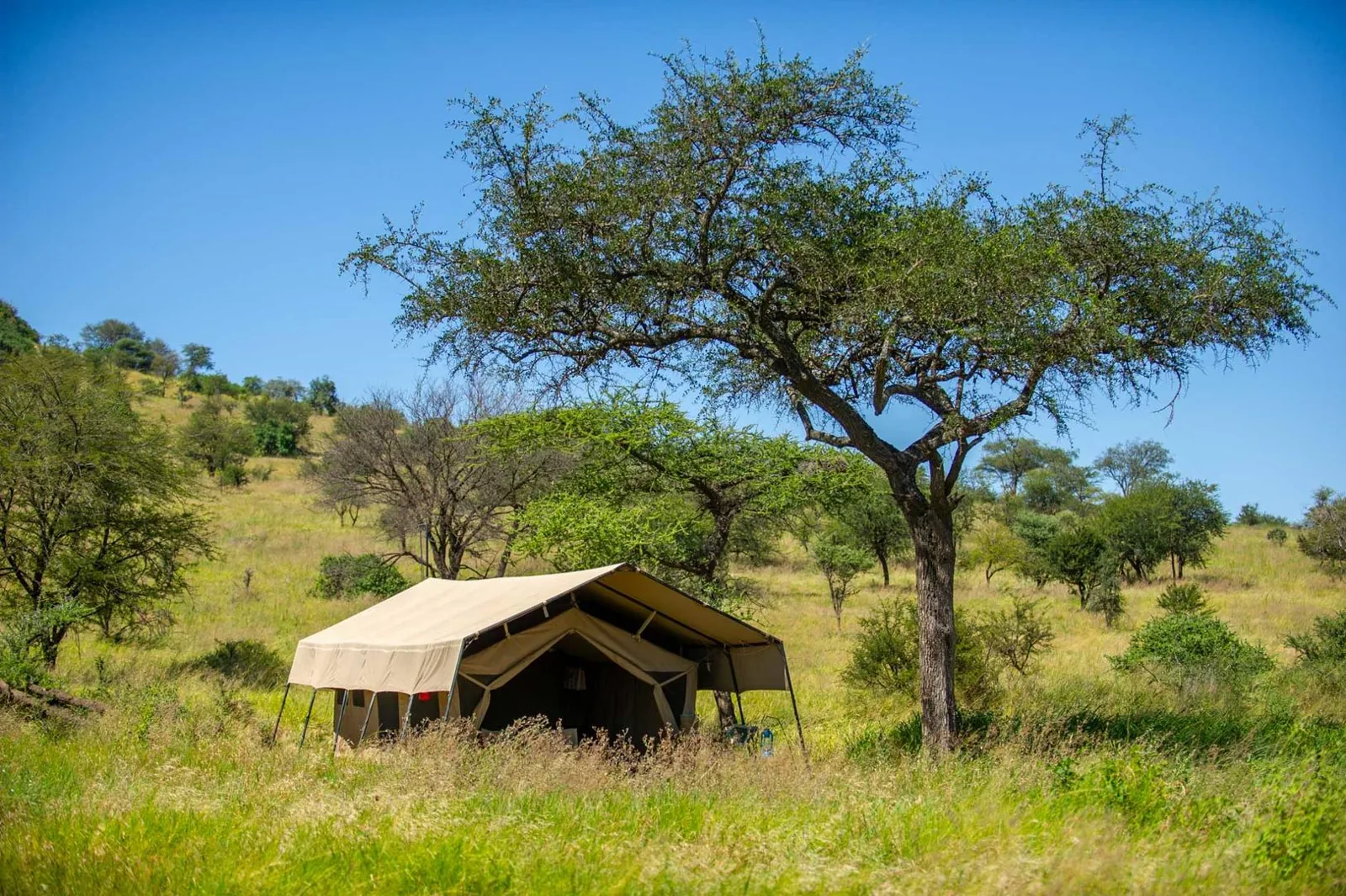 Serengeti Kati Kati Camp exterior