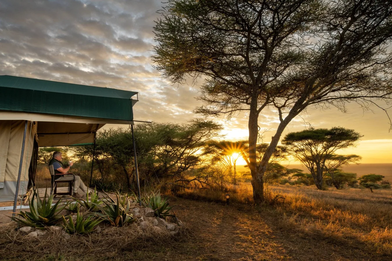 Exterior of Serengeti Woodlands Camp in Naabi Hill, Southern Serengeti