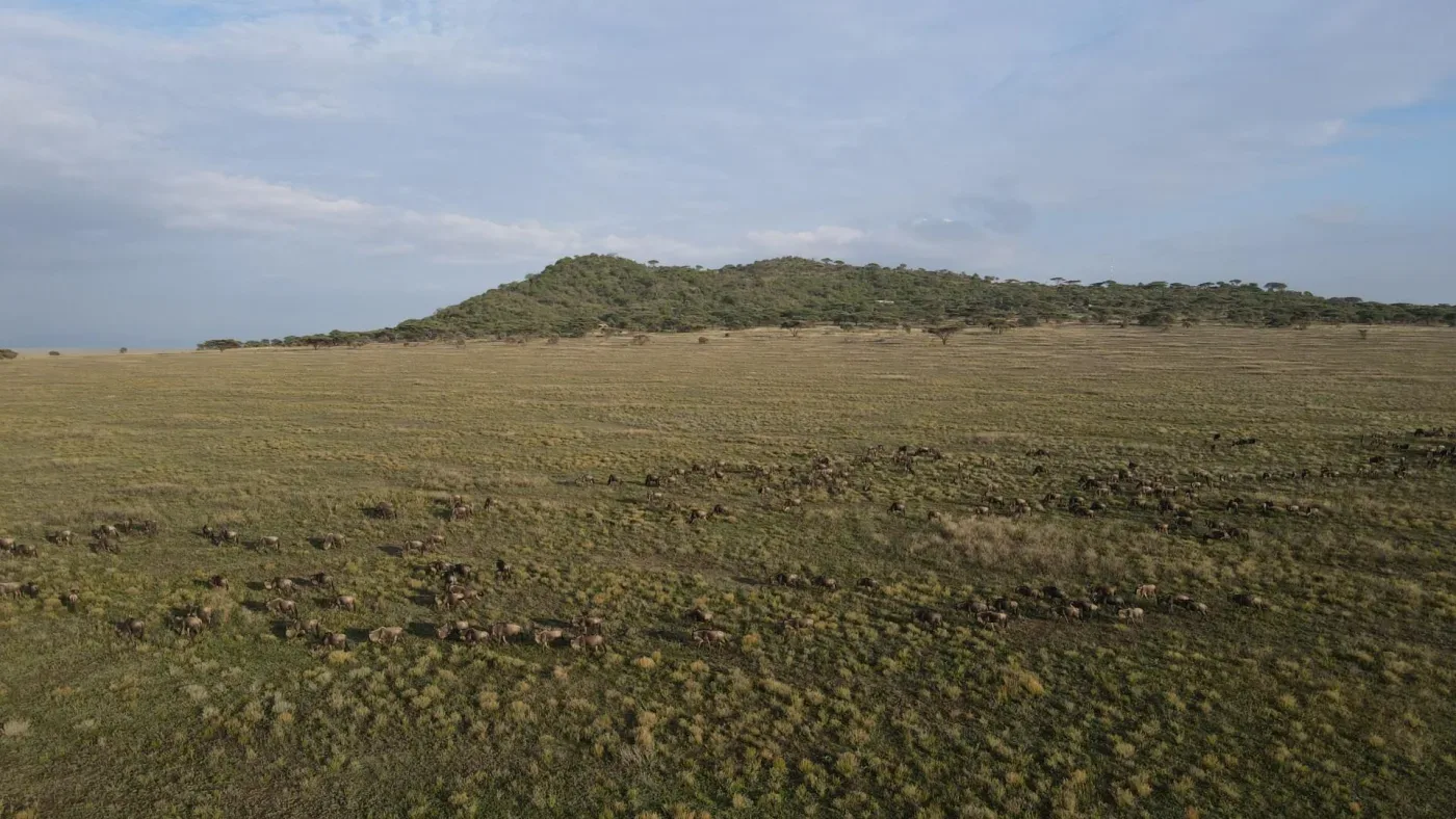 View of Serengeti Woodlands Camp in Naabi Hill, Southern Serengeti