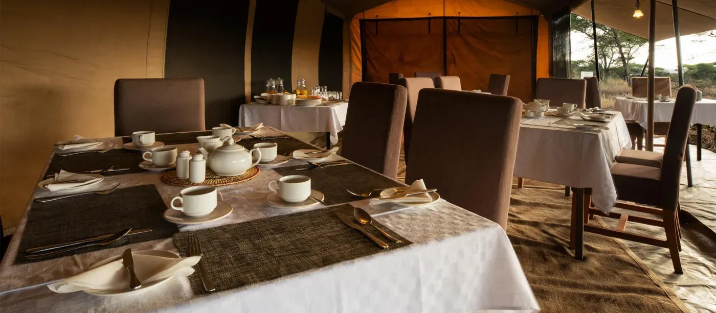View of Serengeti Woodlands Camp in Naabi Hill, Southern Serengeti