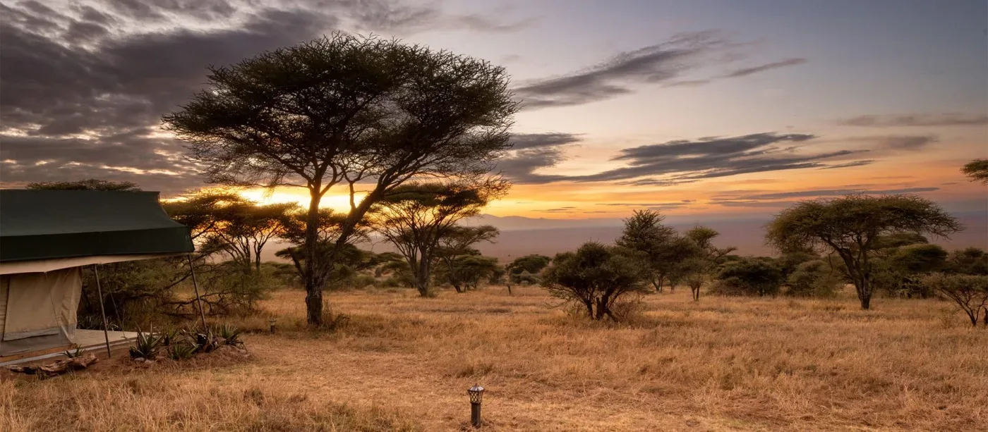 View of Serengeti Woodlands Camp in Naabi Hill, Southern Serengeti