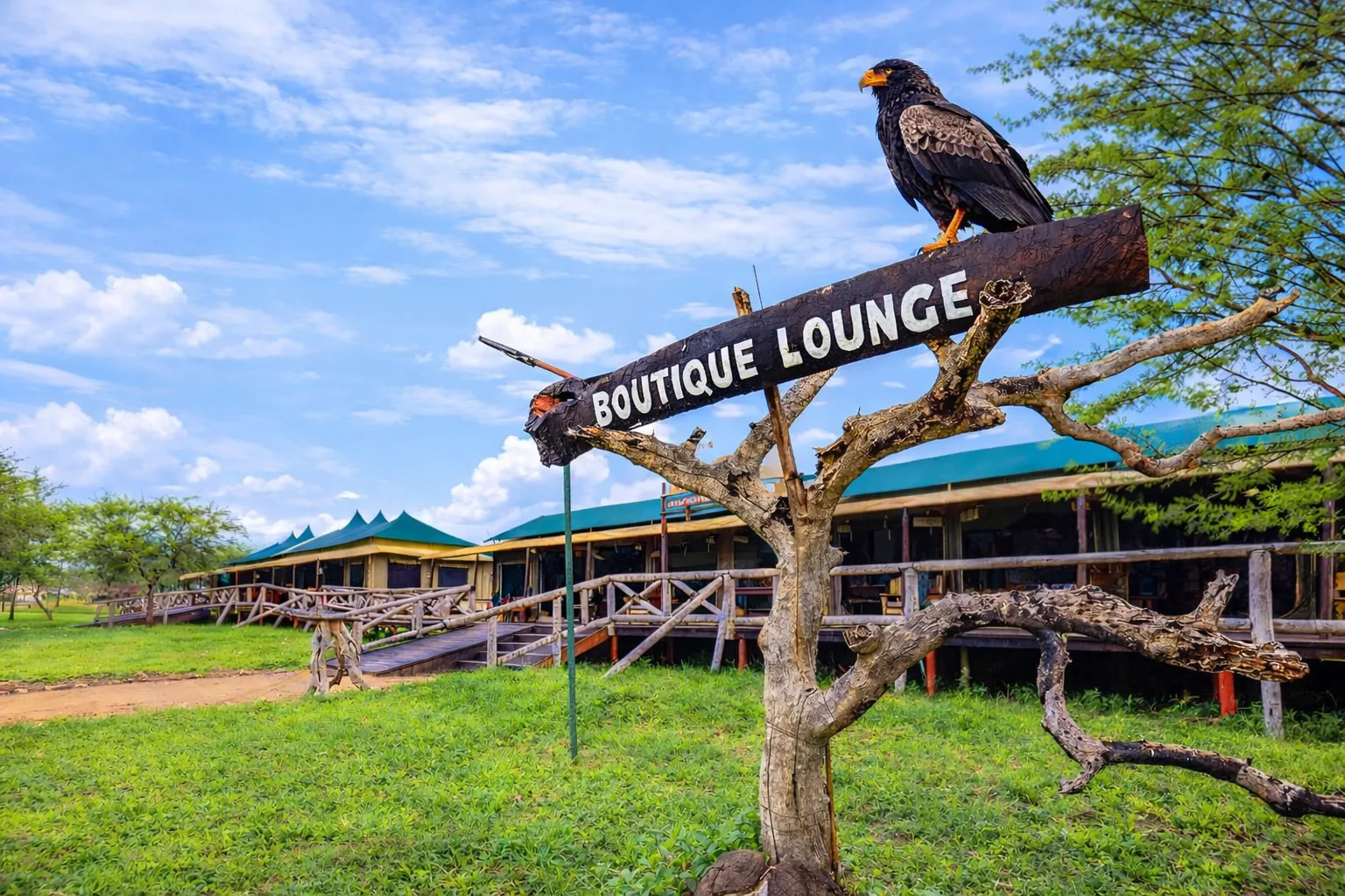 Tanzania Bush Camp in Serengeti