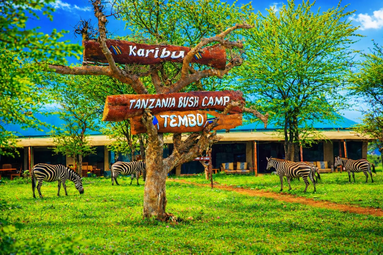 Tanzania Bush Camp in Serengeti