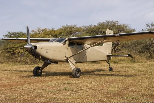 Light aircraft at a remote East African safari airstrip