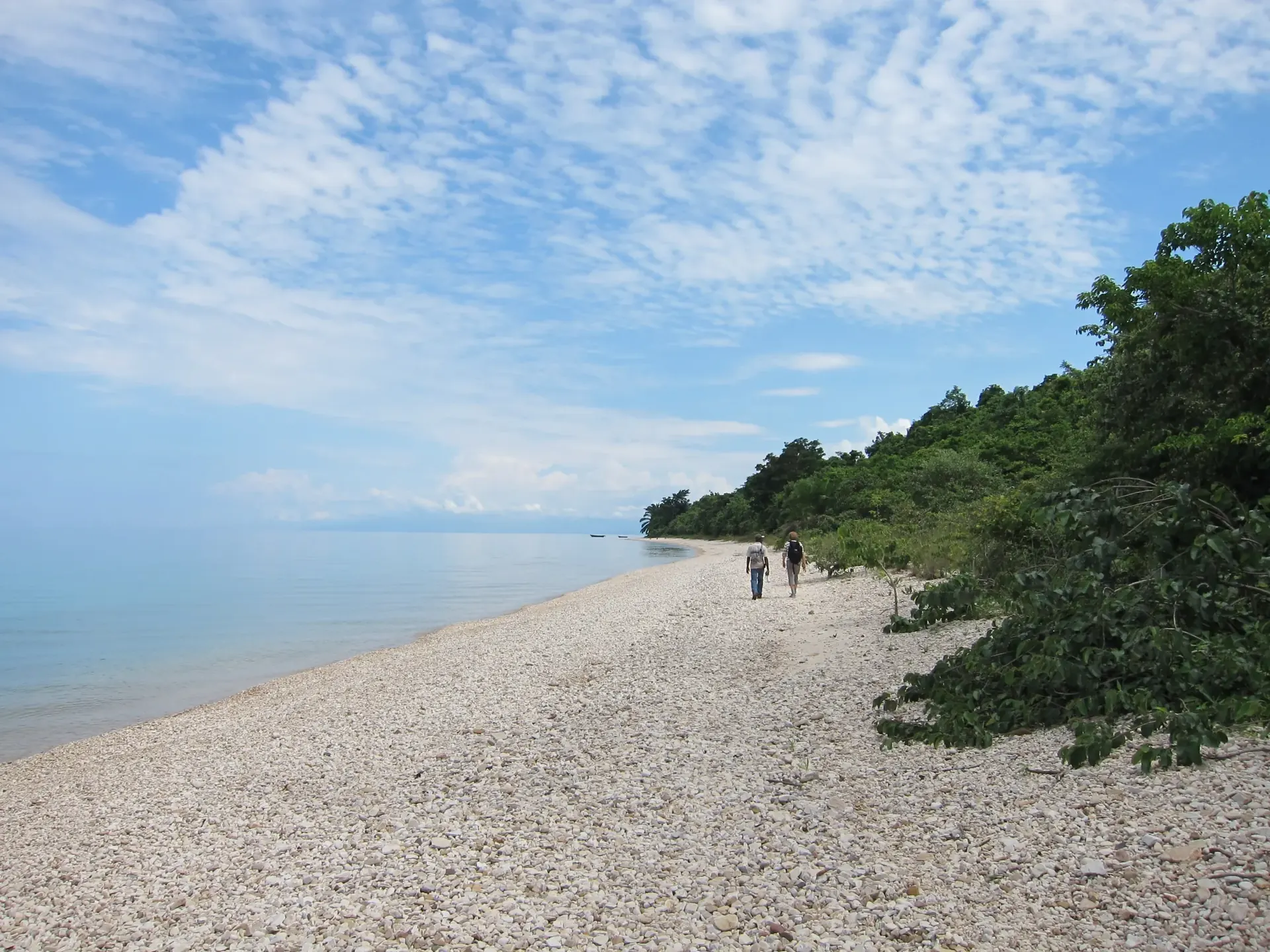 Chimpanzee trekking scenery on the Mahale Mountains National Park tour