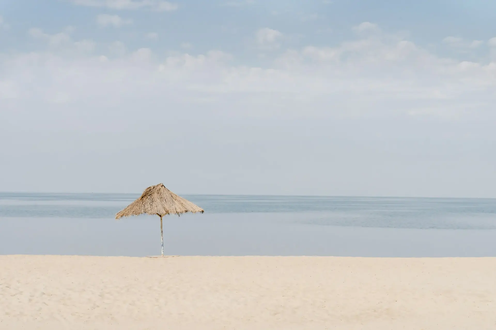 Lake Tanganyika shore near primate forests