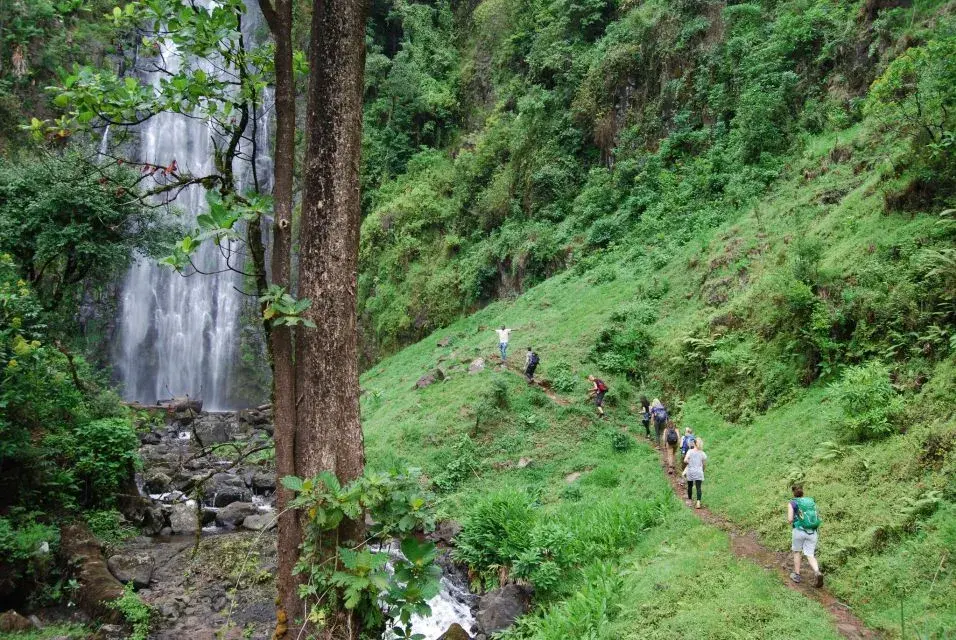 Moshi to Materuni Village experience