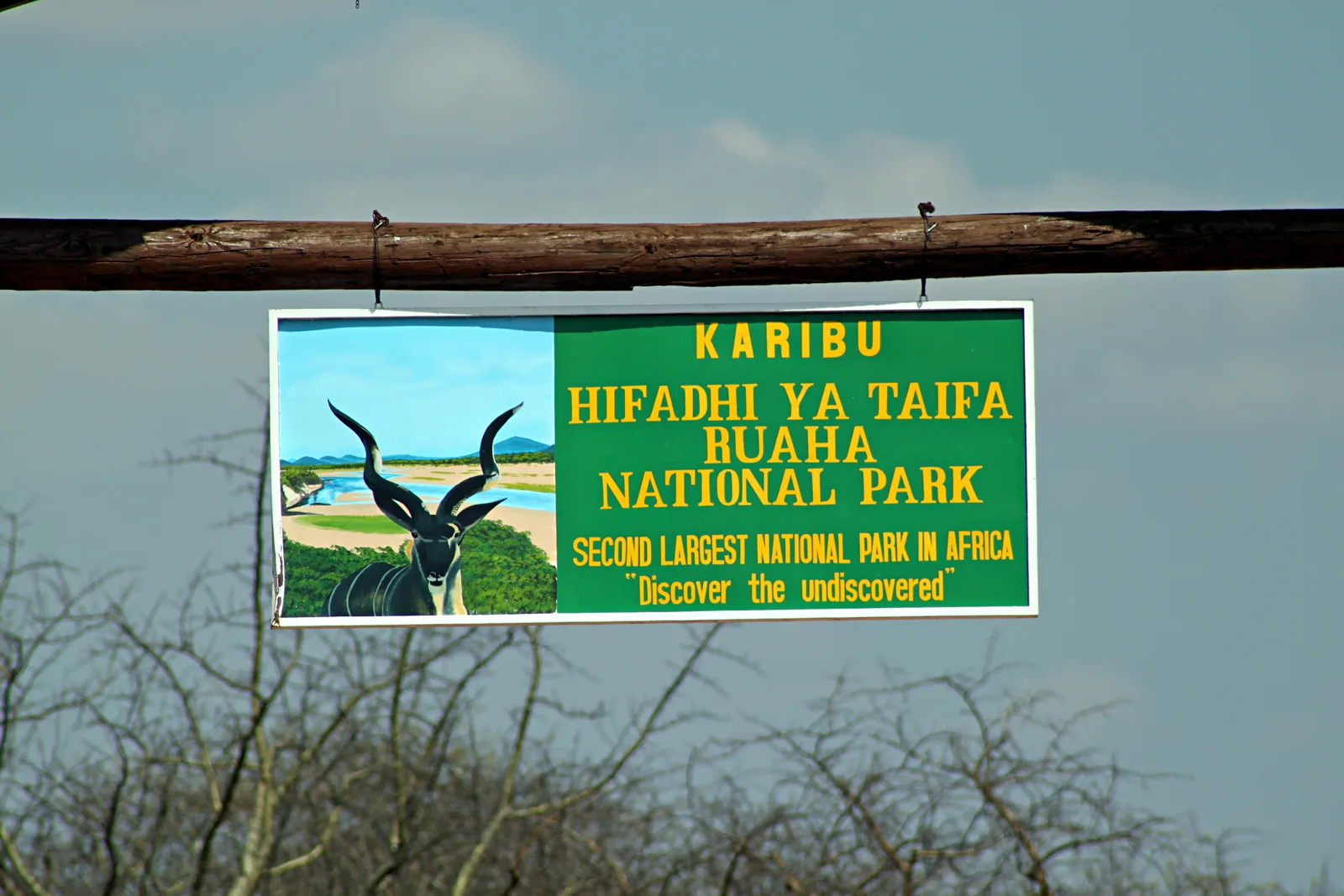 Ruaha Game Drive