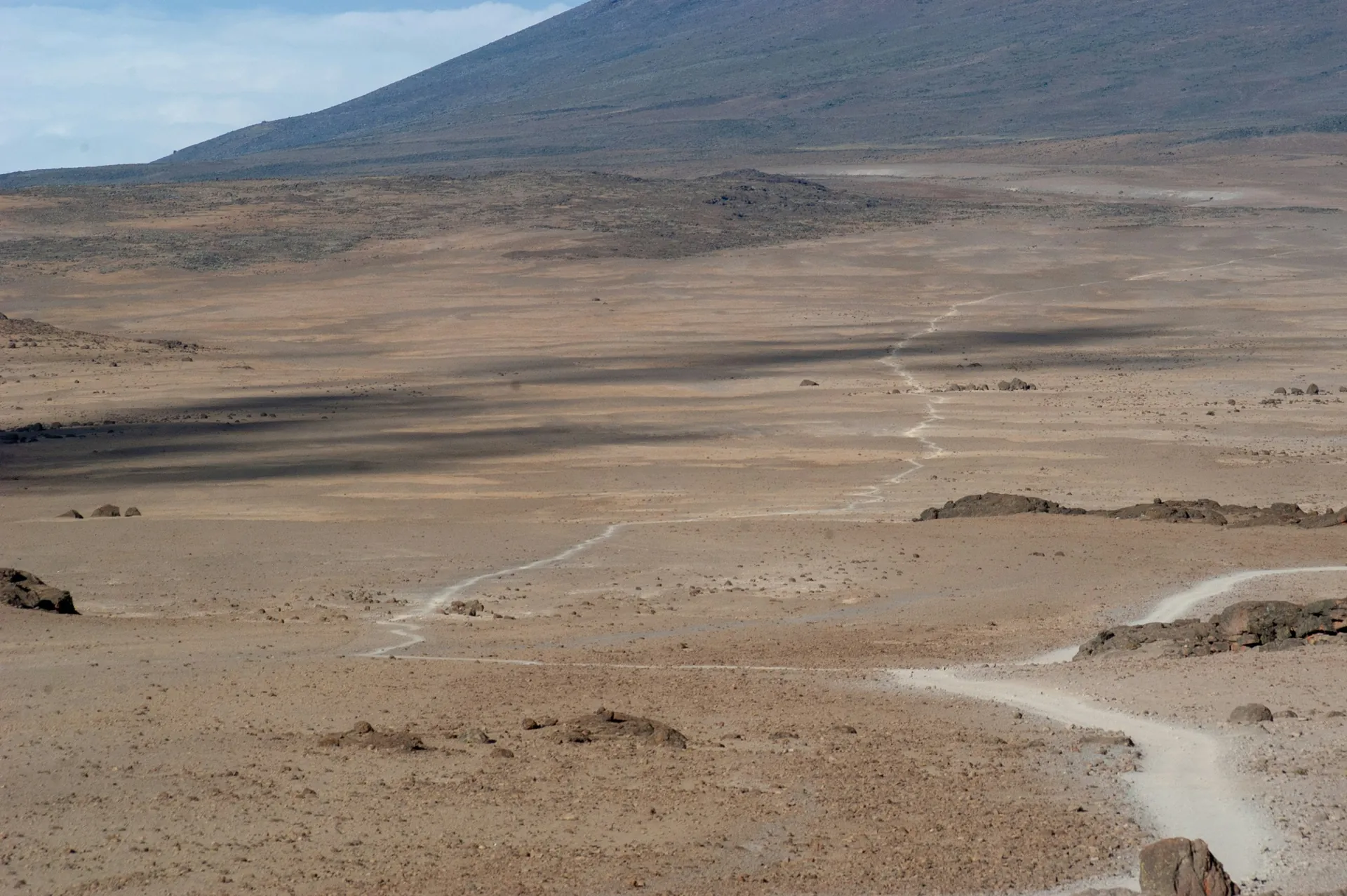 Kilimanjaro trail and high mountain scenery