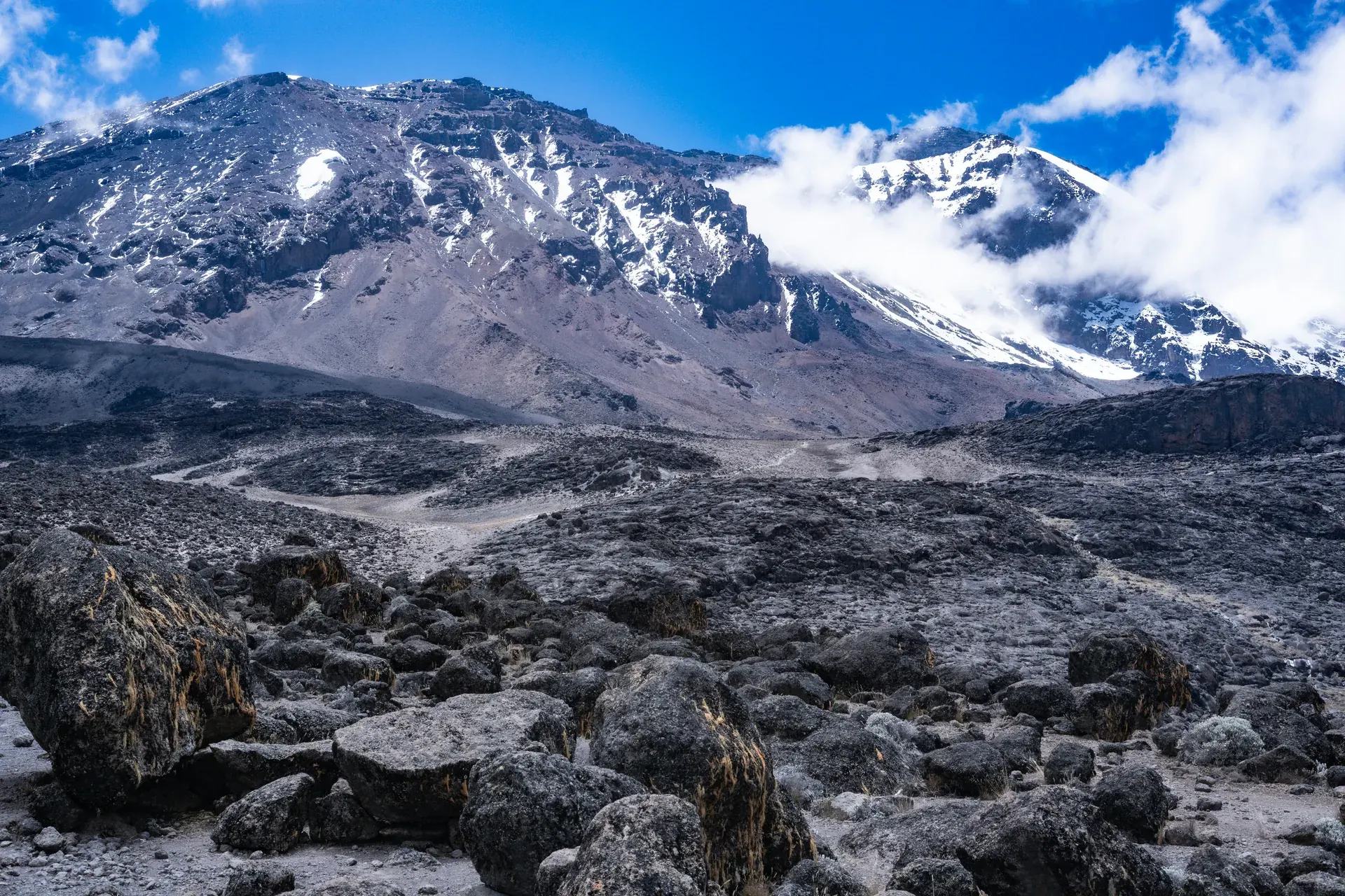 Mount Kilimanjaro trekking landscape