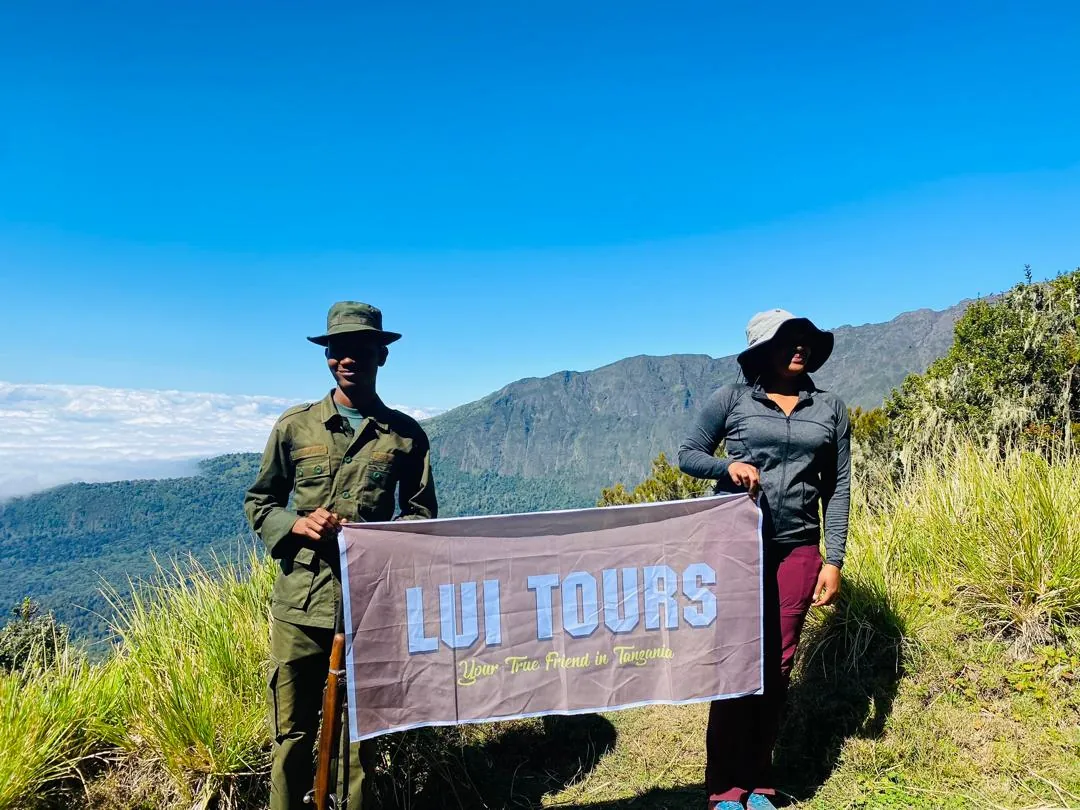 Mount Meru Backdrop