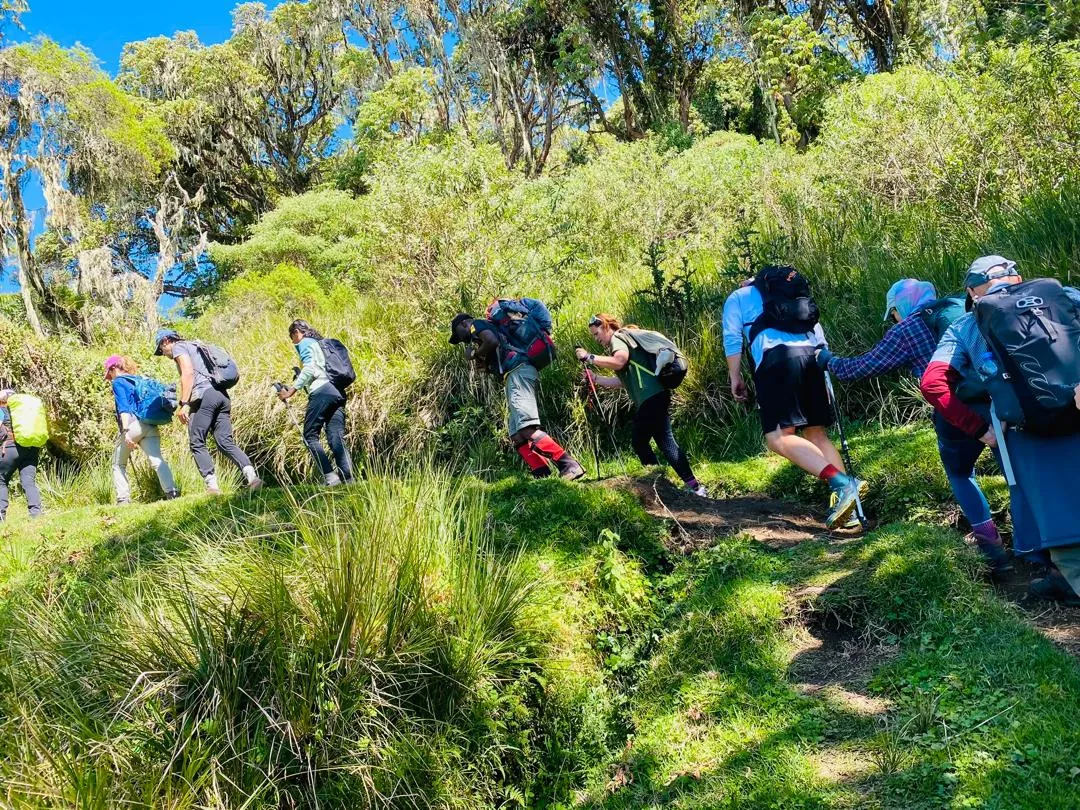 Trekkers resting on the forested lower slopes of Mount Meru