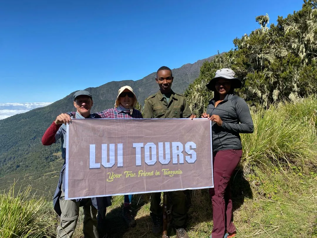 Mountain trekking through forest in Tanzania