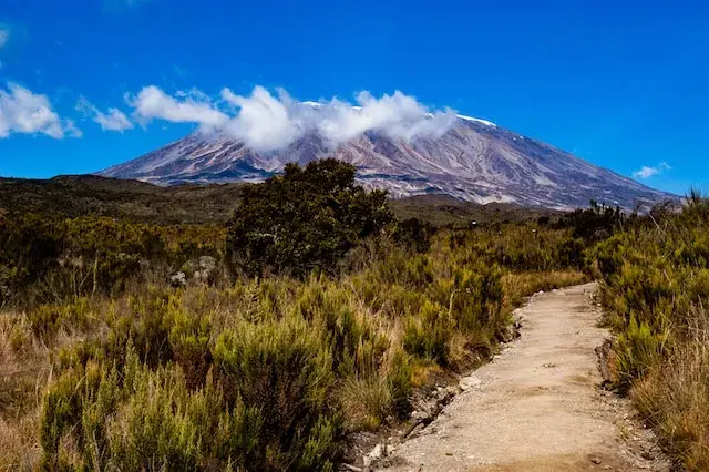 Kilimanjaro trekking landscape