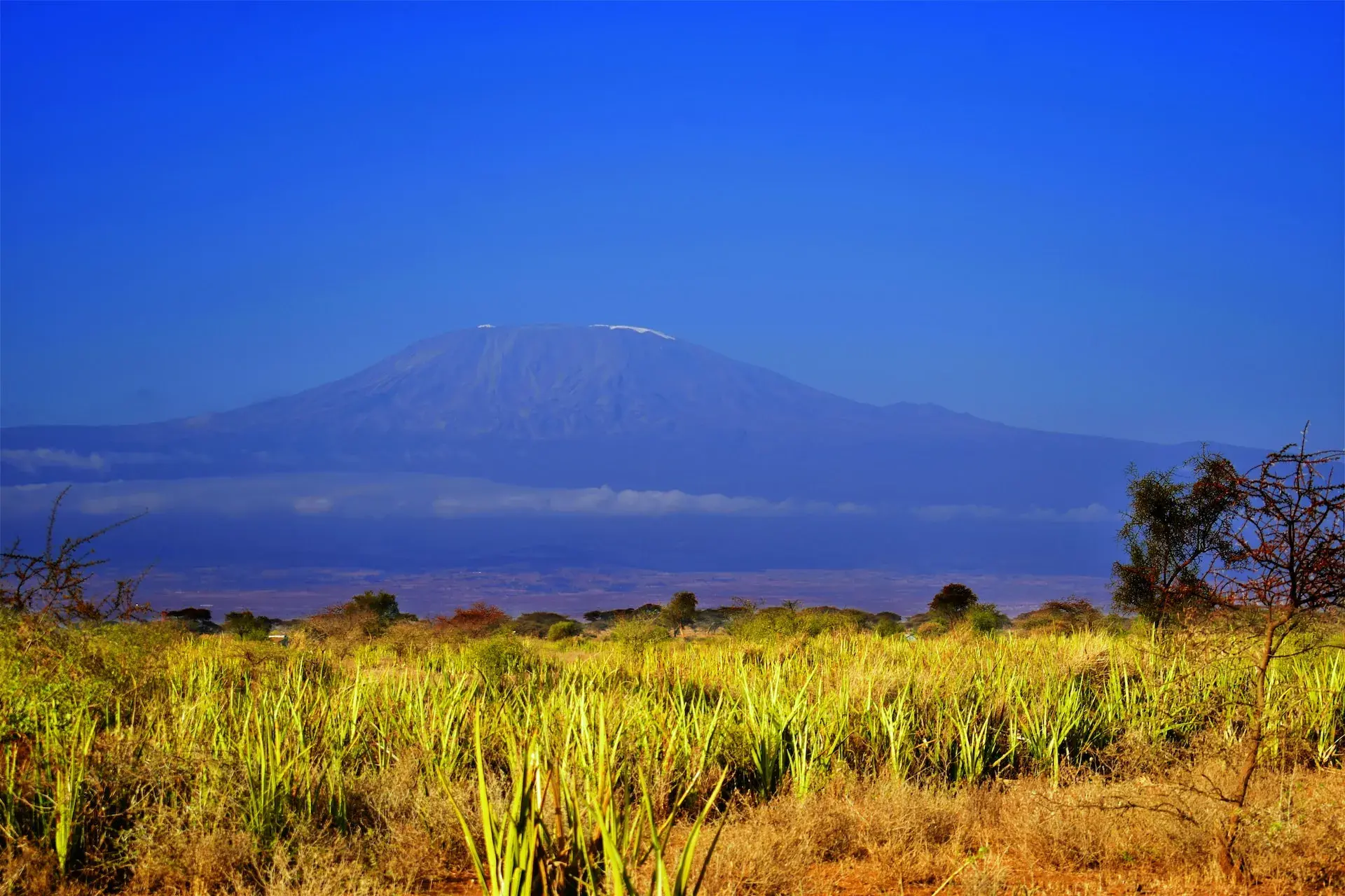 Mount Kilimanjaro above the Tanzanian plains