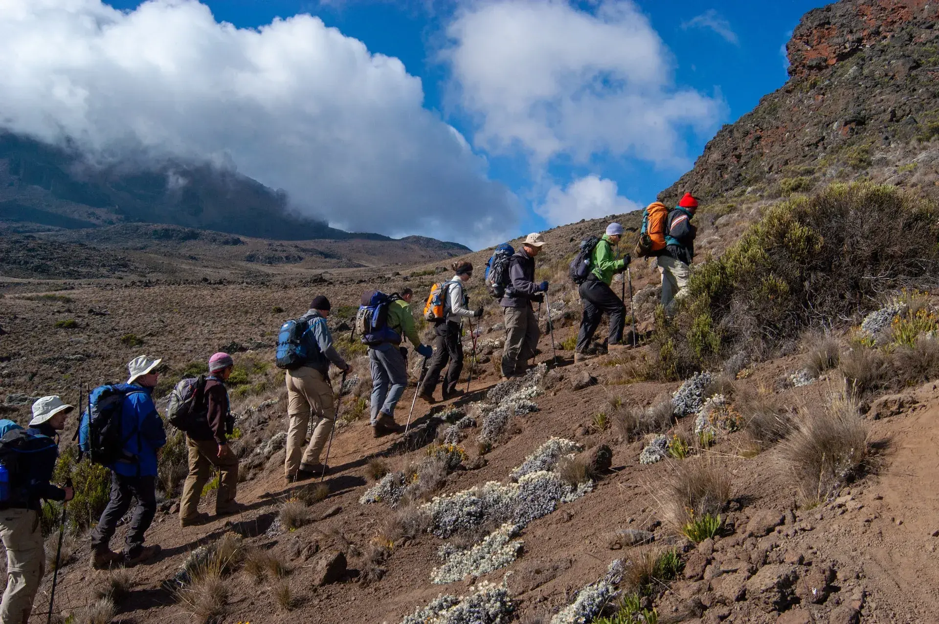 Umbwe Route Kilimanjaro forest
