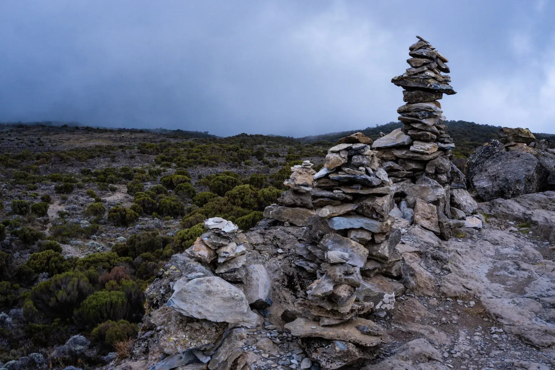 Northern Circuit Route Kilimanjaro northern wilderness