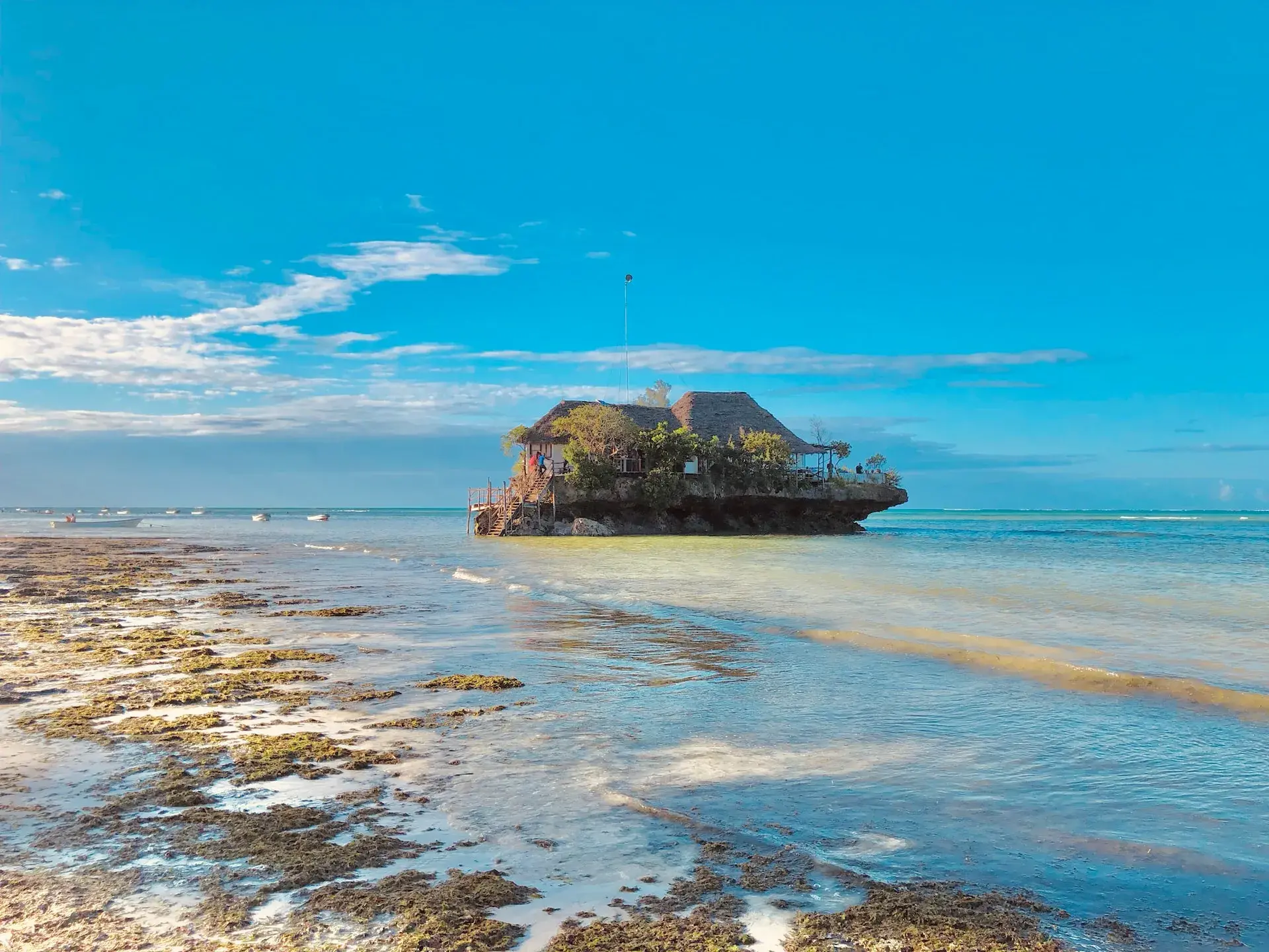 Final Zanzibar shoreline view