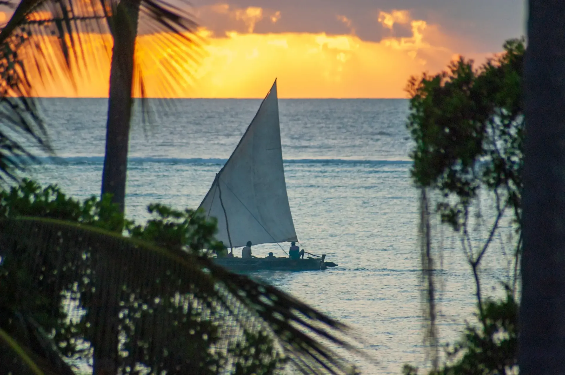 Dhow seen from a Zanzibar beach hotel